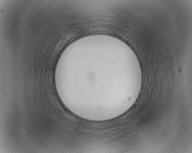 X0000061140709200512161530