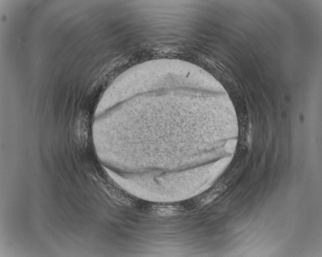 X0000061140710200512161530