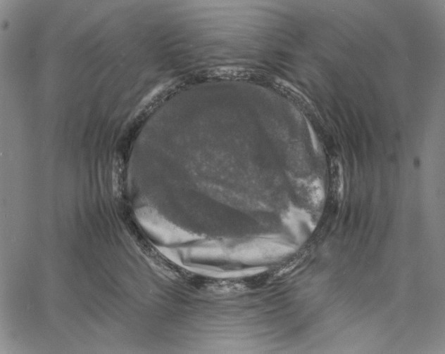 X0000061140712200512161530