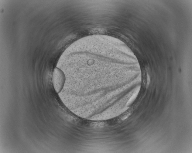 X0000061140714200512161530