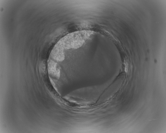 X0000061140715200512161530