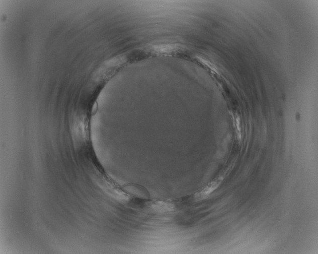 X0000061140718200512161530