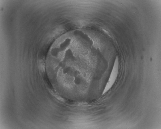 X0000061140719200512161530