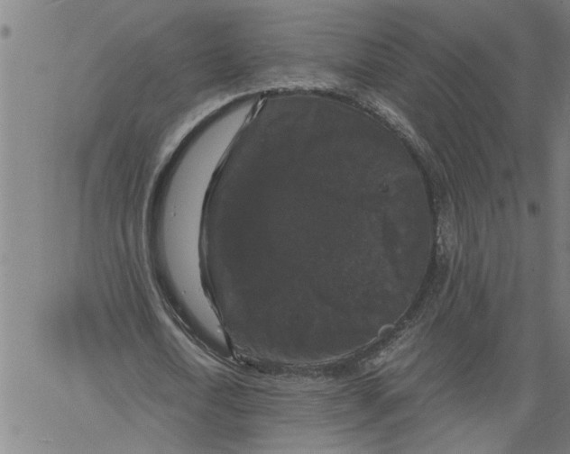 X0000061140722200512161529