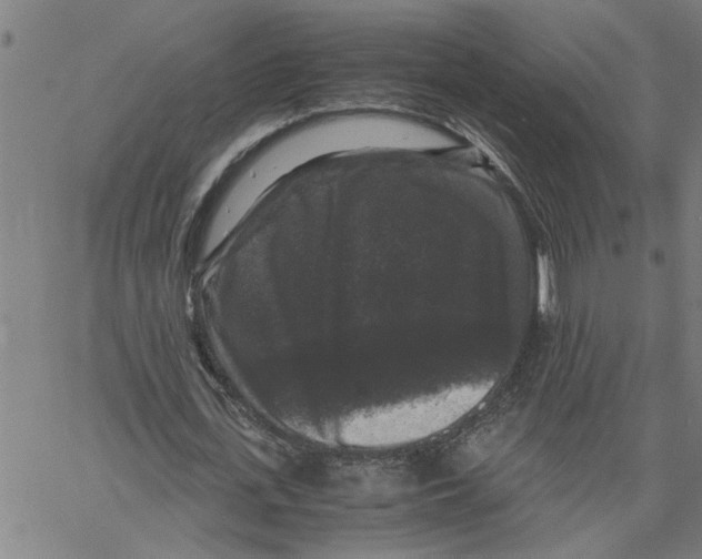 X0000061140723200512161529