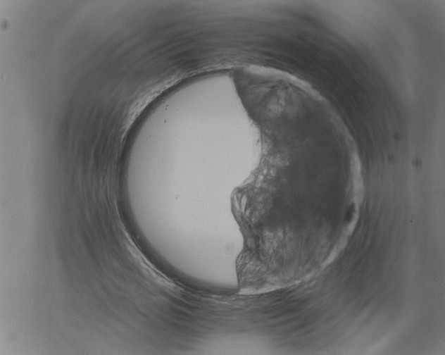 X0000061140725200512161529