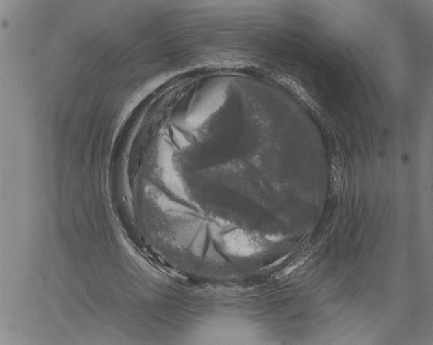 X0000061140726200512161529