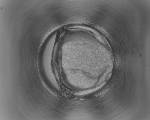 X0000061140728200512161529