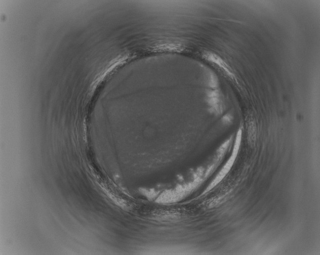 X0000061140729200512161529