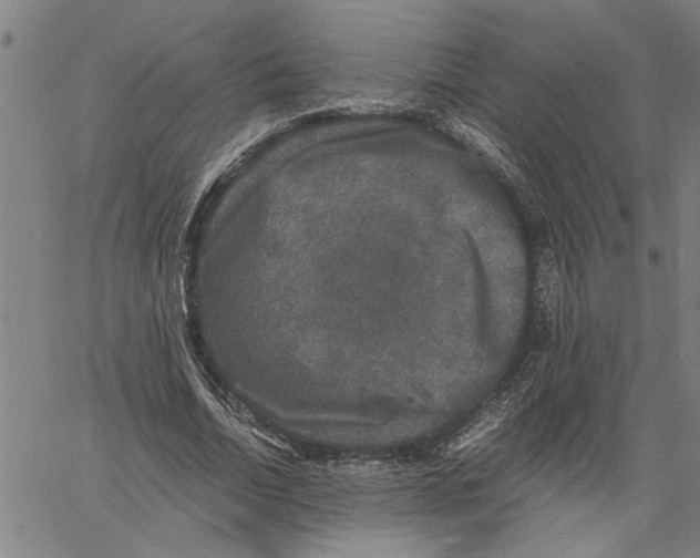 X0000061140730200512161529