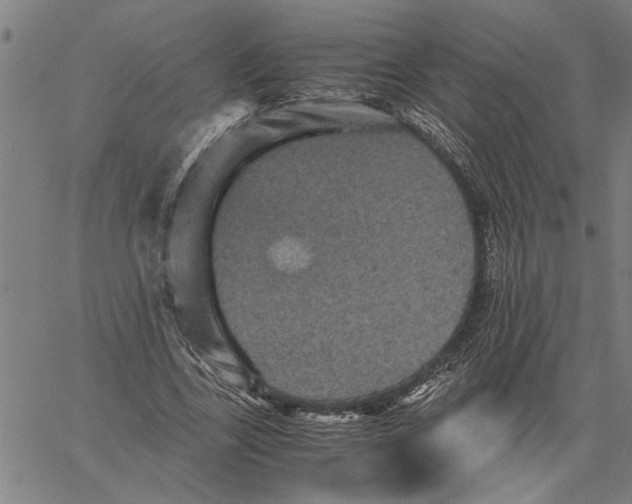 X0000061140731200512161529