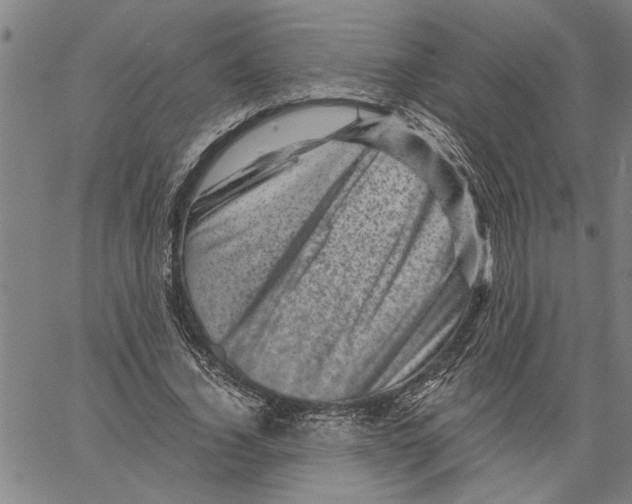 X0000061140732200512161529