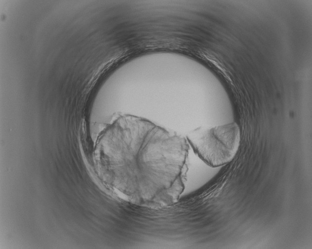 X0000061140733200512161529