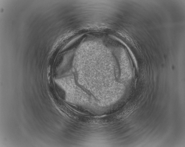 X0000061140736200512161529