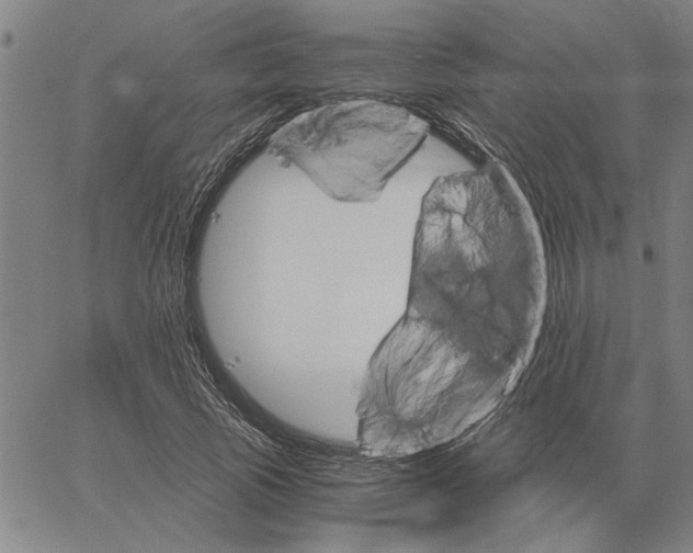 X0000061140737200512161529