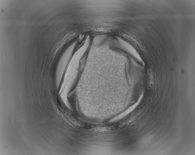 X0000061140738200512161529