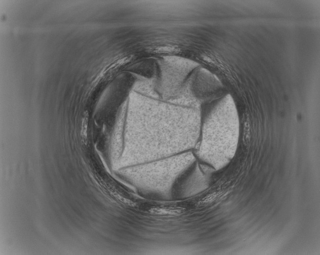 X0000061140739200512161529