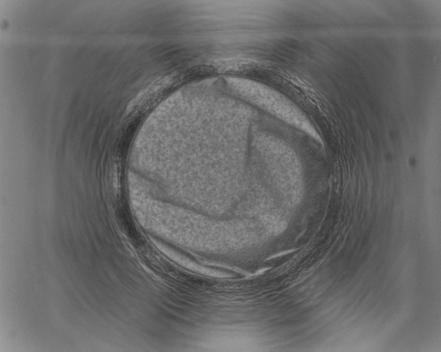 X0000061140740200512161529