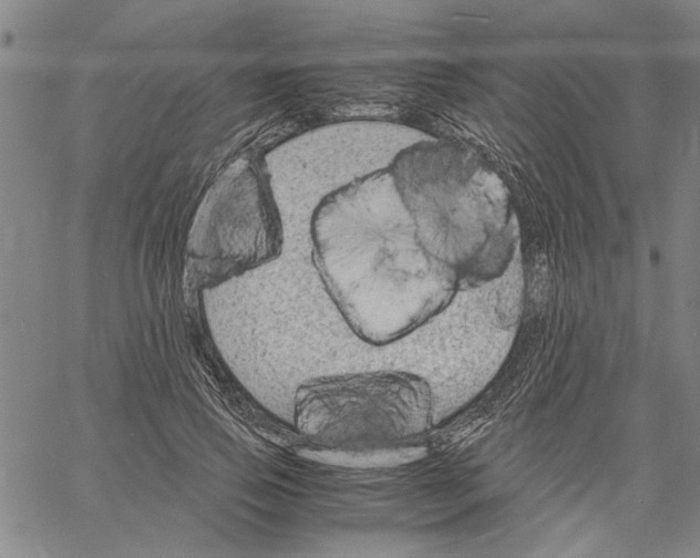 X0000061140741200512161529