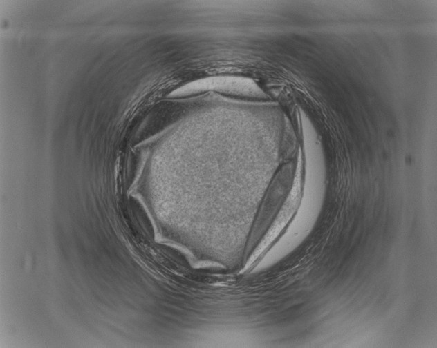 X0000061140742200512161529