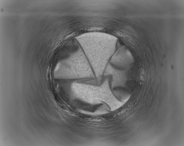 X0000061140743200512161529