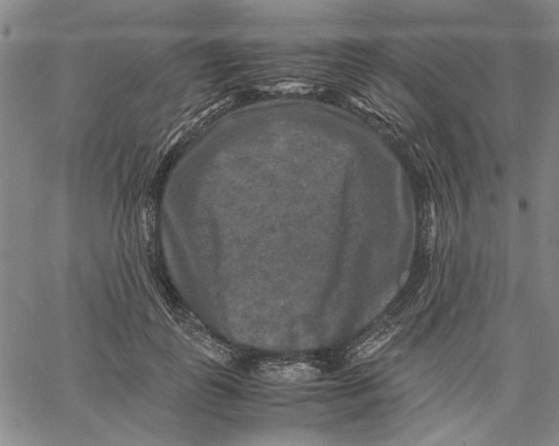 X0000061140747200512161530