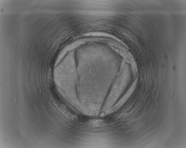 X0000061140748200512161530