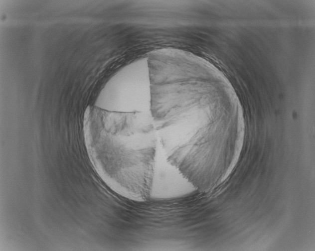 X0000061140749200512161530