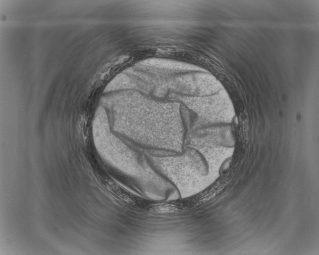 X0000061140750200512161530