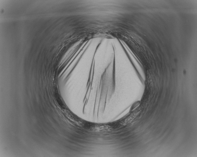 X0000061140752200512161530