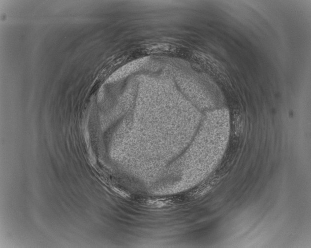 X0000061140753200512161530