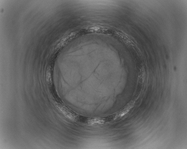 X0000061140754200512161530