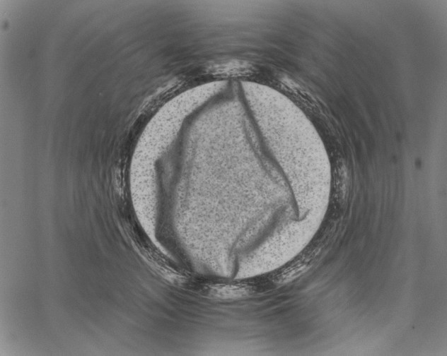 X0000061140755200512161530