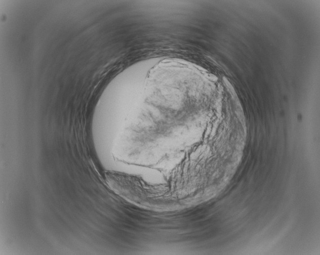 X0000061140757200512161530