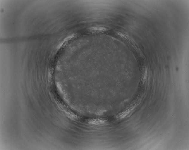 X0000061140759200512161530