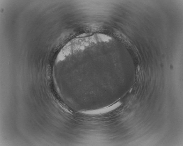 X0000061140760200512161530