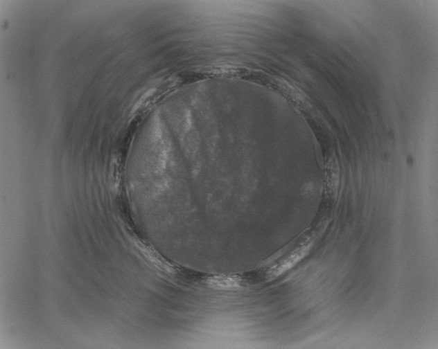 X0000061140762200512161530