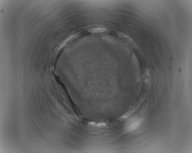 X0000061140763200512161530