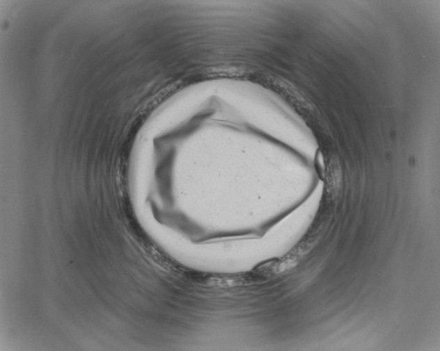 X0000061140764200512161530