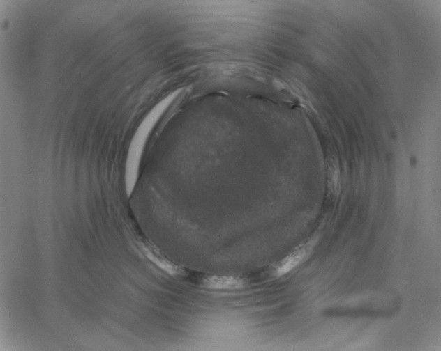 X0000061140766200512161530