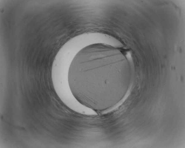 X0000061140768200512161530