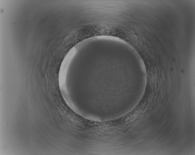 X0000061140769200512161529