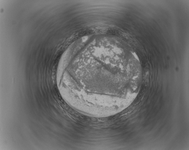 X0000061140772200512161529