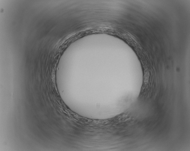 X0000061140773200512161529