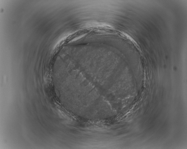 X0000061140775200512161529