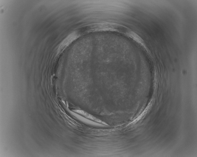 X0000061140777200512161529