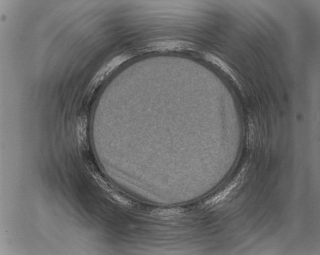 X0000061140778200512161529