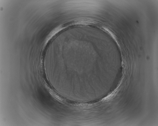 X0000061140779200512161529