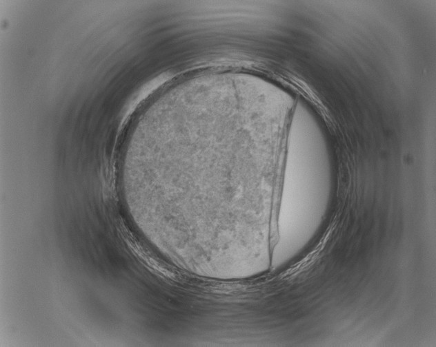 X0000061140780200512161529