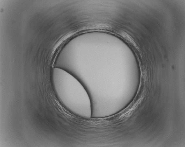 X0000061140781200512161529